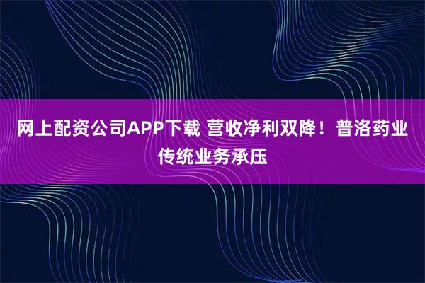 网上配资公司APP下载 营收净利双降！普洛药业传统业务承压