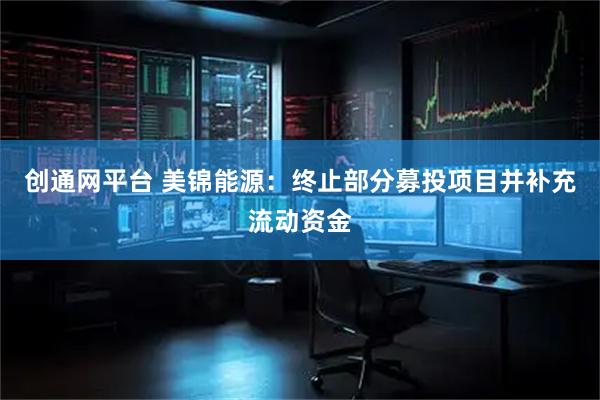 创通网平台 美锦能源：终止部分募投项目并补充流动资金
